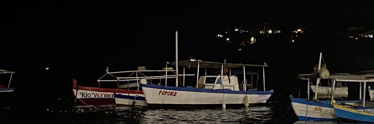 evvmoreira's profile banner image