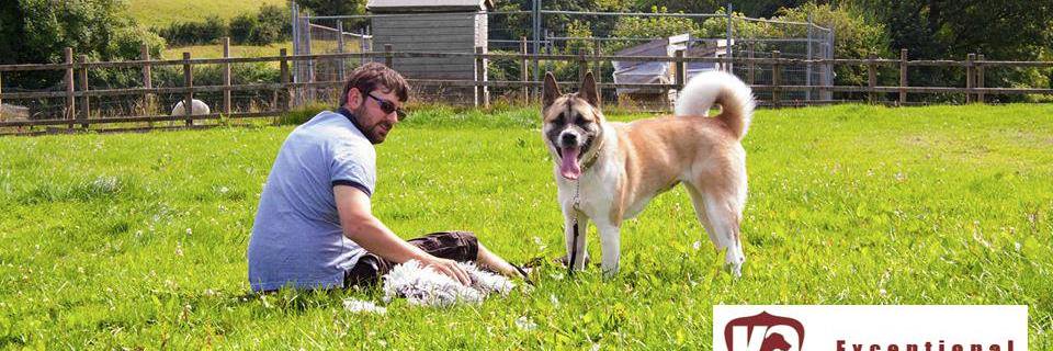 K9_consulting's profile banner image