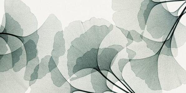Оксана banner