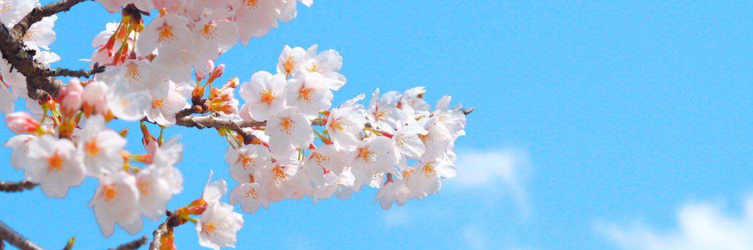 aqua_kit's profile banner image