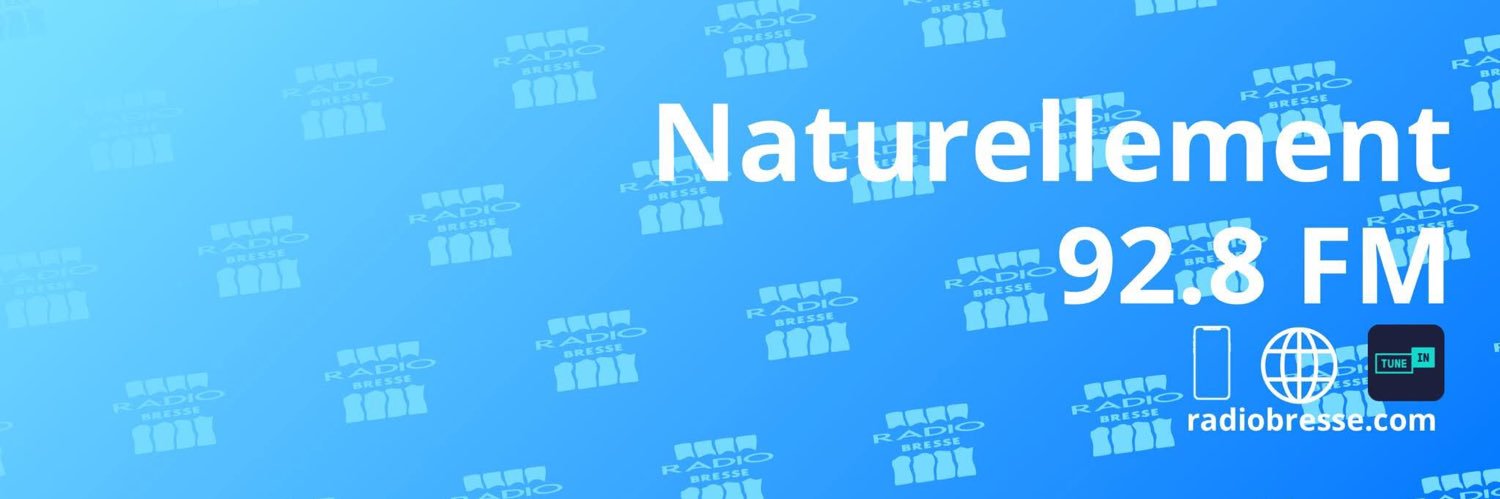 rbresse's profile banner image