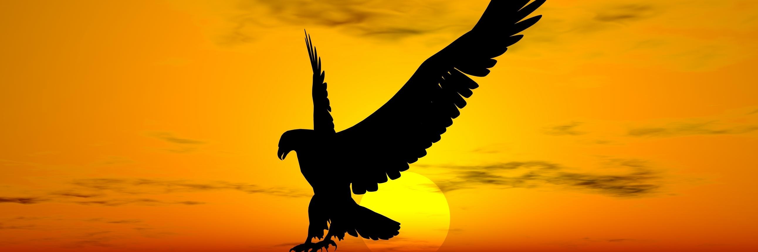Gannicus9369's profile banner image