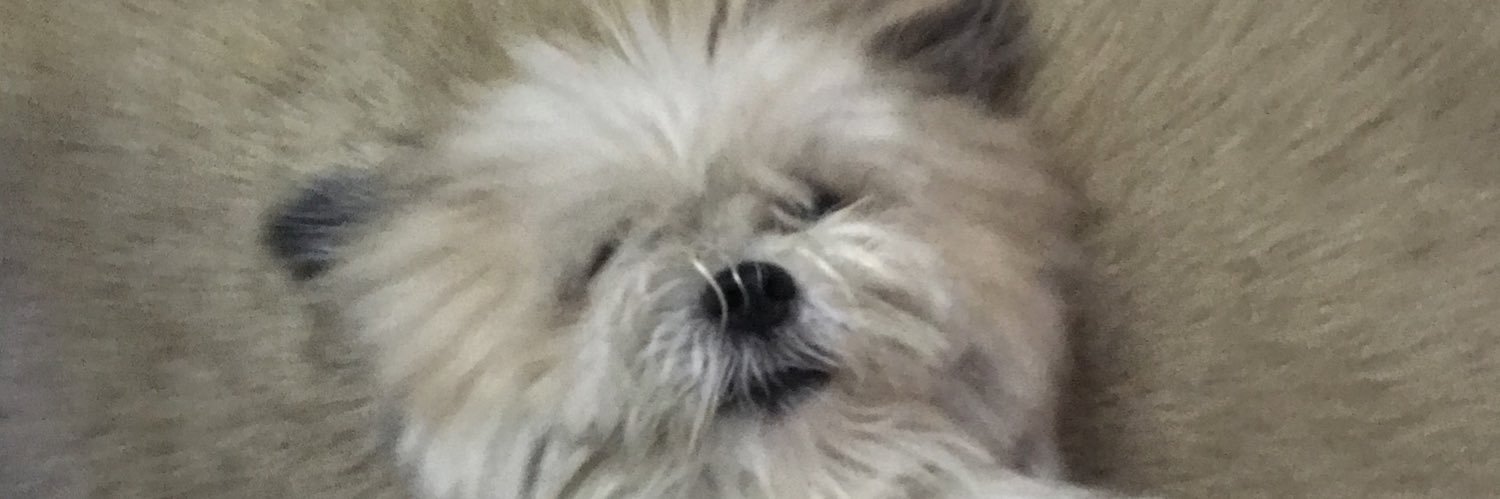 Miniibrah's profile banner image