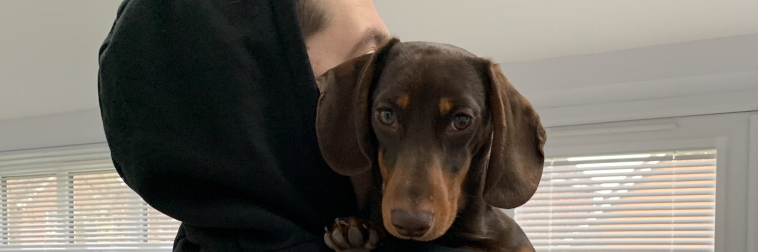 georginax's profile banner image