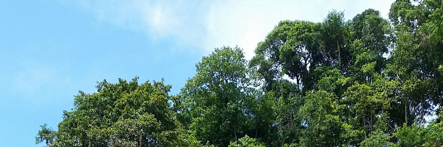 Mirey Atallah banner