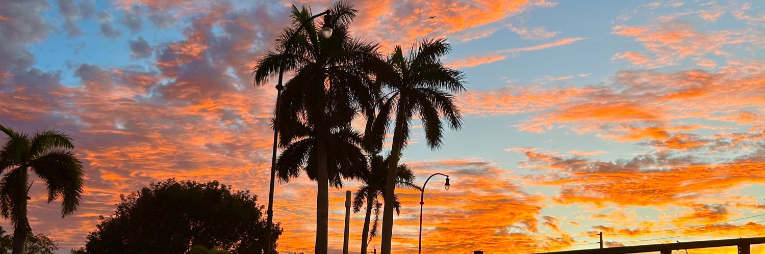 edgar allan poe banner