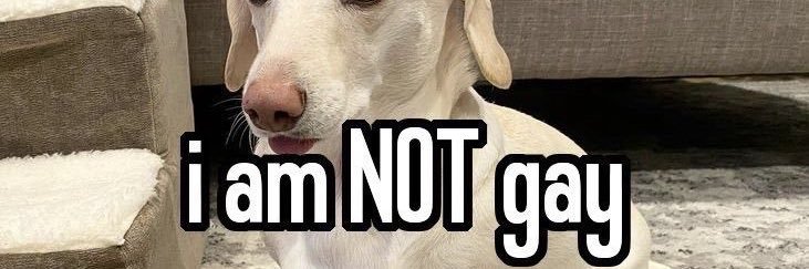 bimbobatea's profile banner image