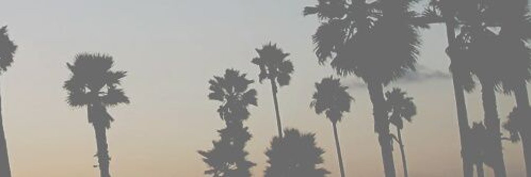 fcblautaro's profile banner image