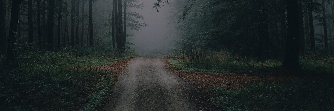 IvanLopes_'s profile banner image