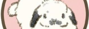 roushi13's profile banner image