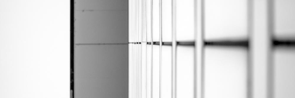 Leobodelle's profile banner image