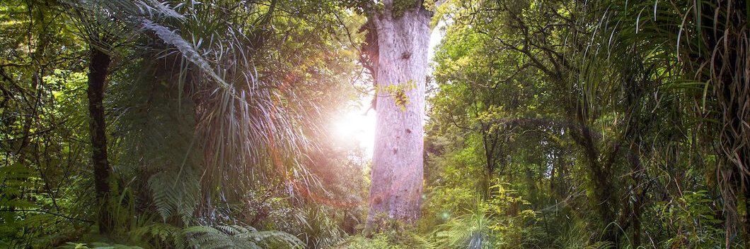 M. J. 🇨🇵 banner