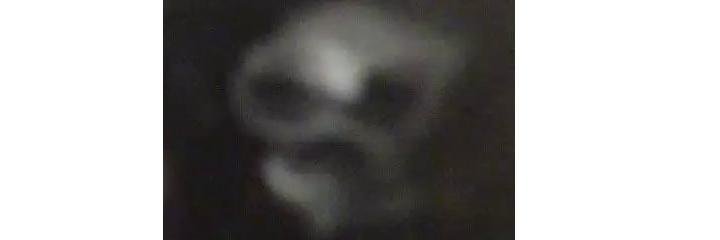 Chris Pollock banner