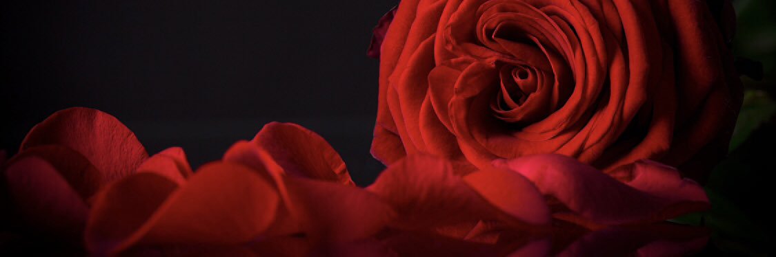 rin_rin_yoo's profile banner image