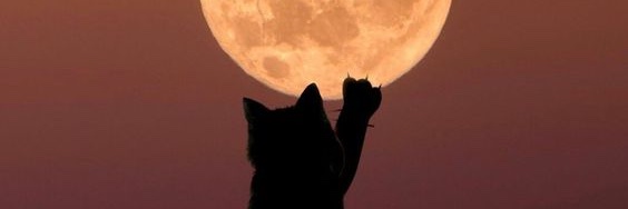 النجم ͟͟͞͞الساطع𖣘 banner