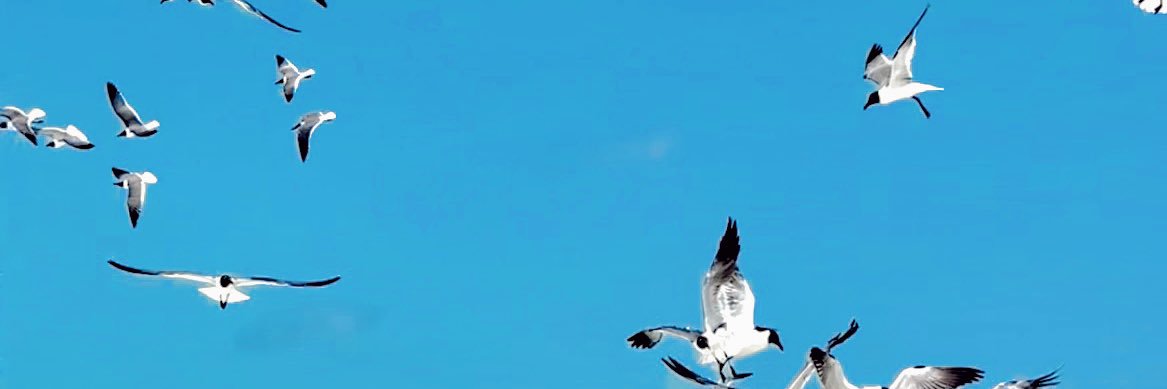 castillob23's profile banner image