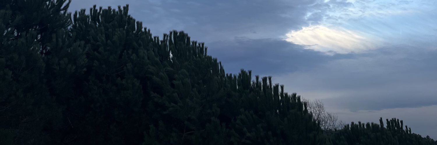 drmeri5's profile banner image