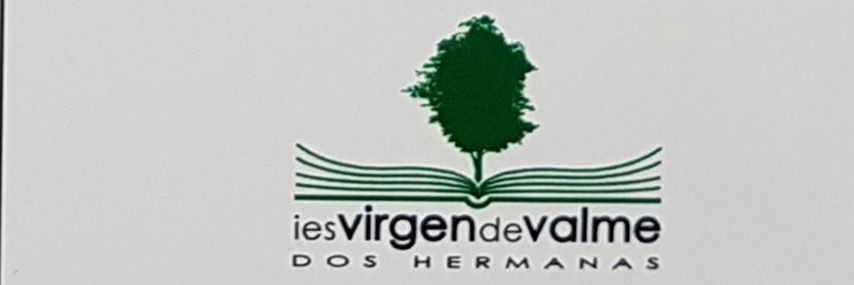 IES Virgen de Valme banner