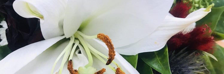 Bola Atta banner