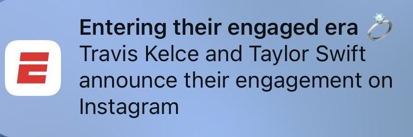 Dani Pluchinsky banner