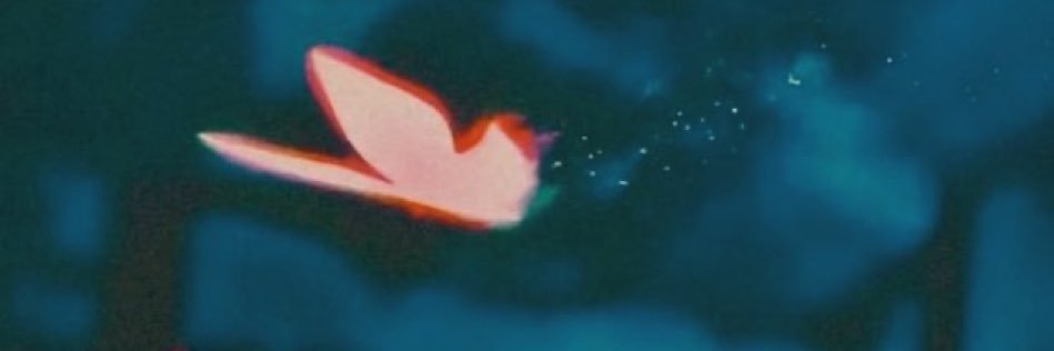 joyspov's profile banner image