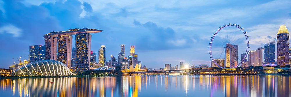 Matthew Whitby banner