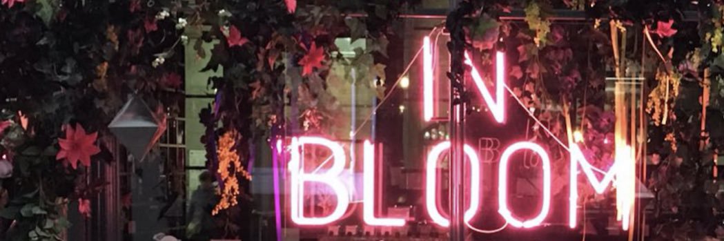 𝔪𝔬𝔬𝔫𝔟𝔩𝔬𝔬𝔪𝔢𝔯 banner