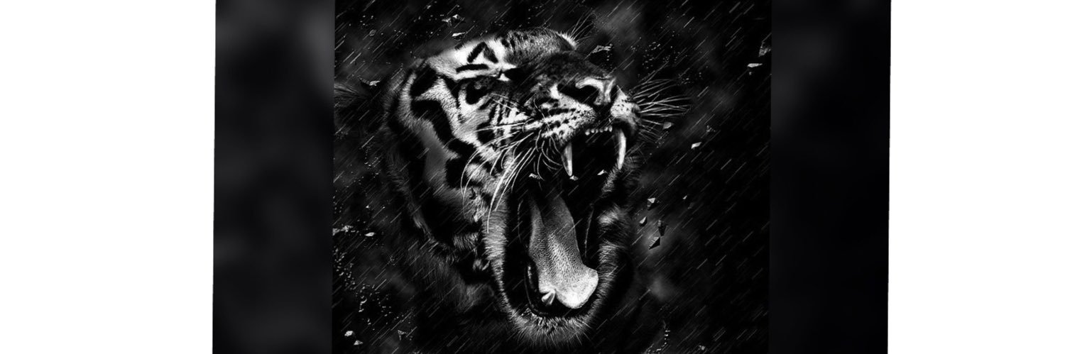 Rezafauzi44's profile banner image