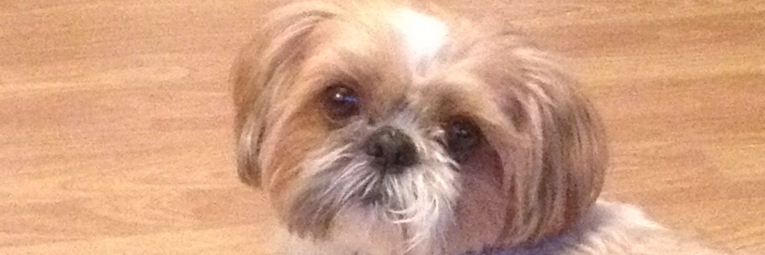 goonerjue's profile banner image
