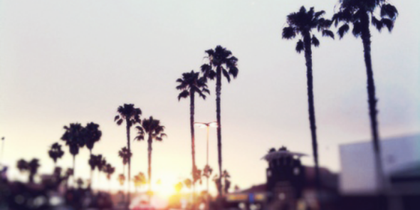 mileslimitbkgdr's profile banner image