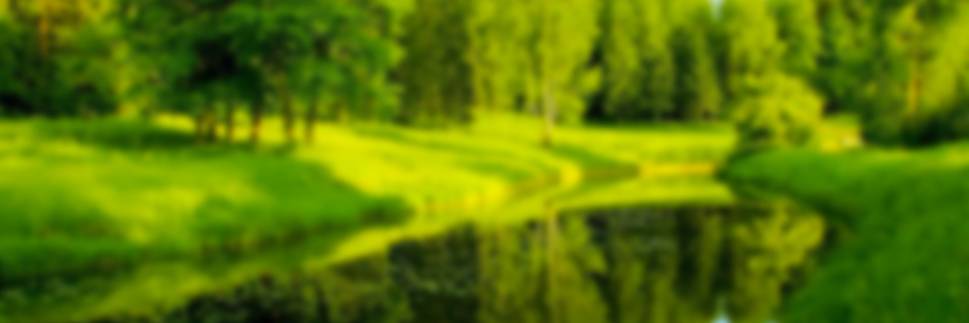 thomaskolbe's profile banner image