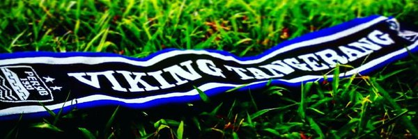 VikingTNG Profile Banner