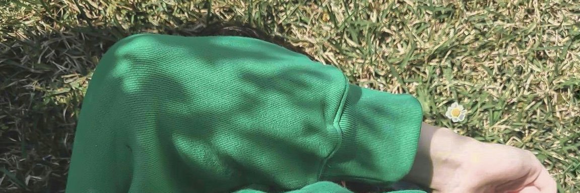 genusPunica's profile banner image