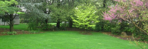 LizWeir Profile Banner