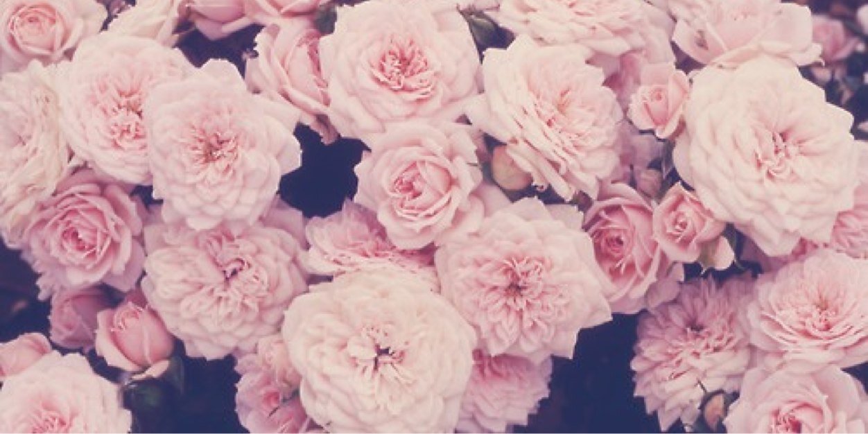 michfraser000's profile banner image
