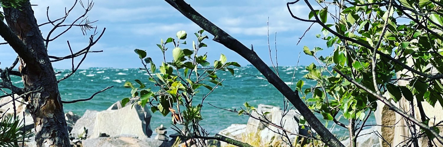 timoaj's profile banner image