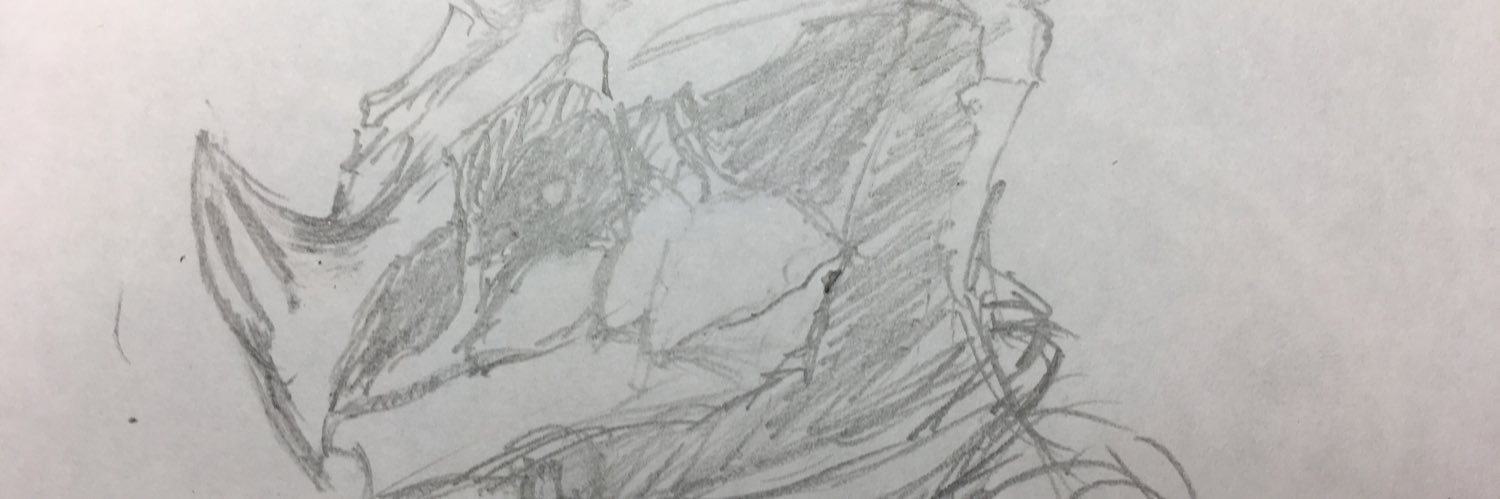 kuienai's profile banner image