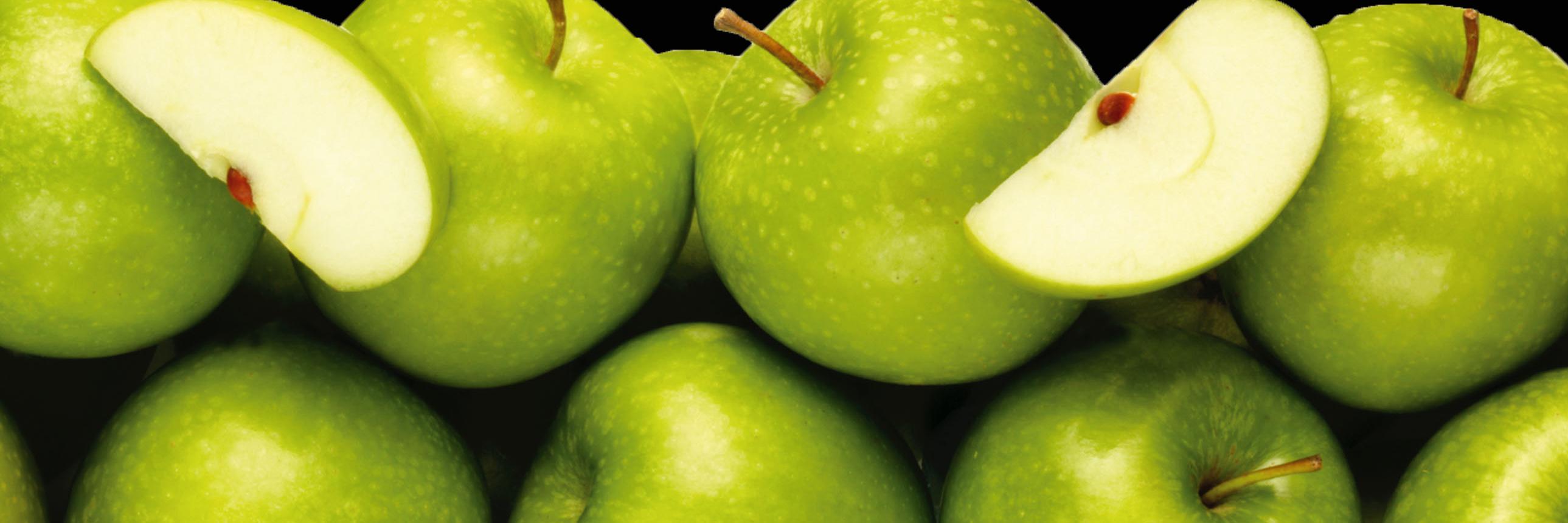 FoodSafetyAB's profile banner image