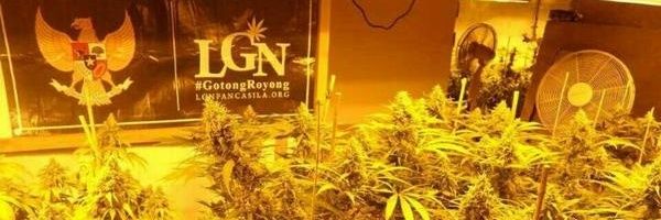 LGNjember's profile banner image