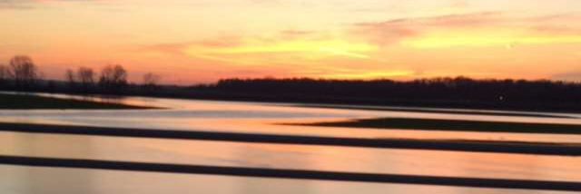 bnewber3's profile banner image