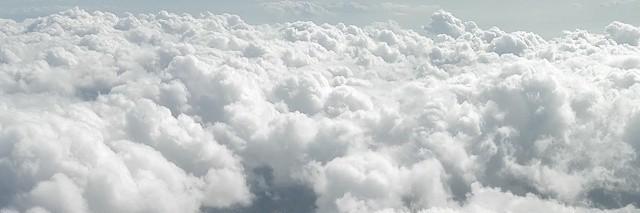 AddisonBaldwin1's profile banner image