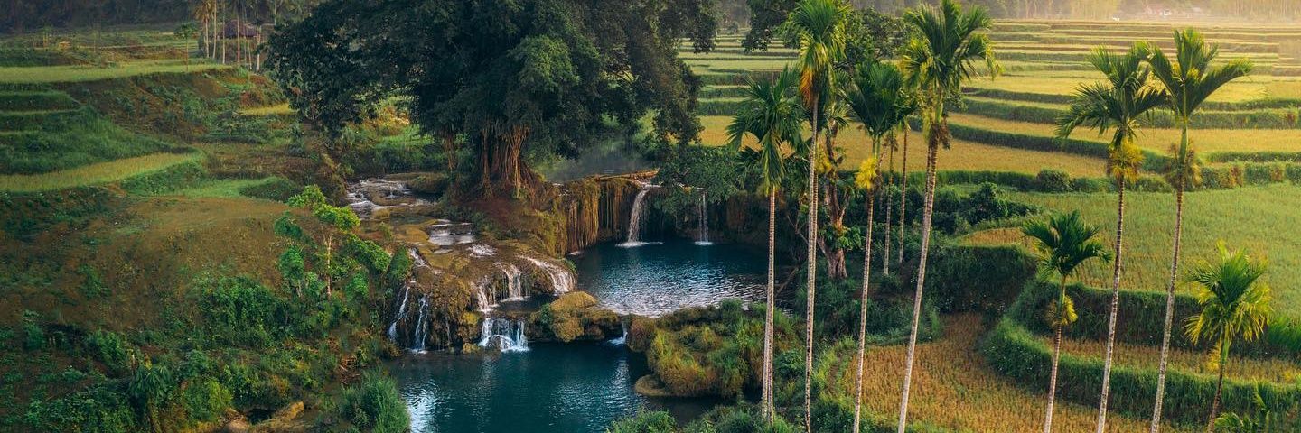 Traves Senior banner