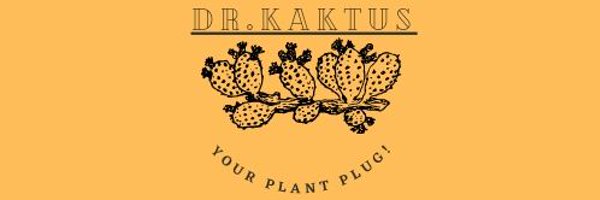 Mkaksy Profile Banner