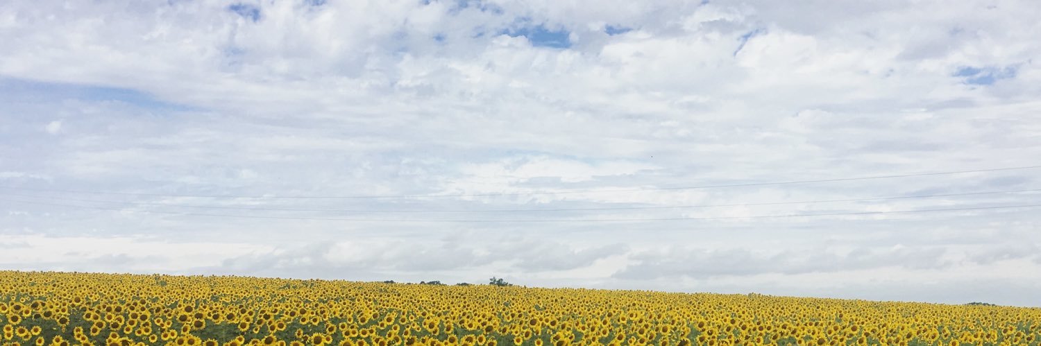 ValeEleanor's profile banner image