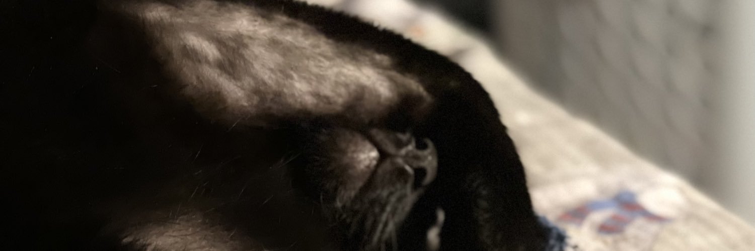 ashpie97's profile banner image