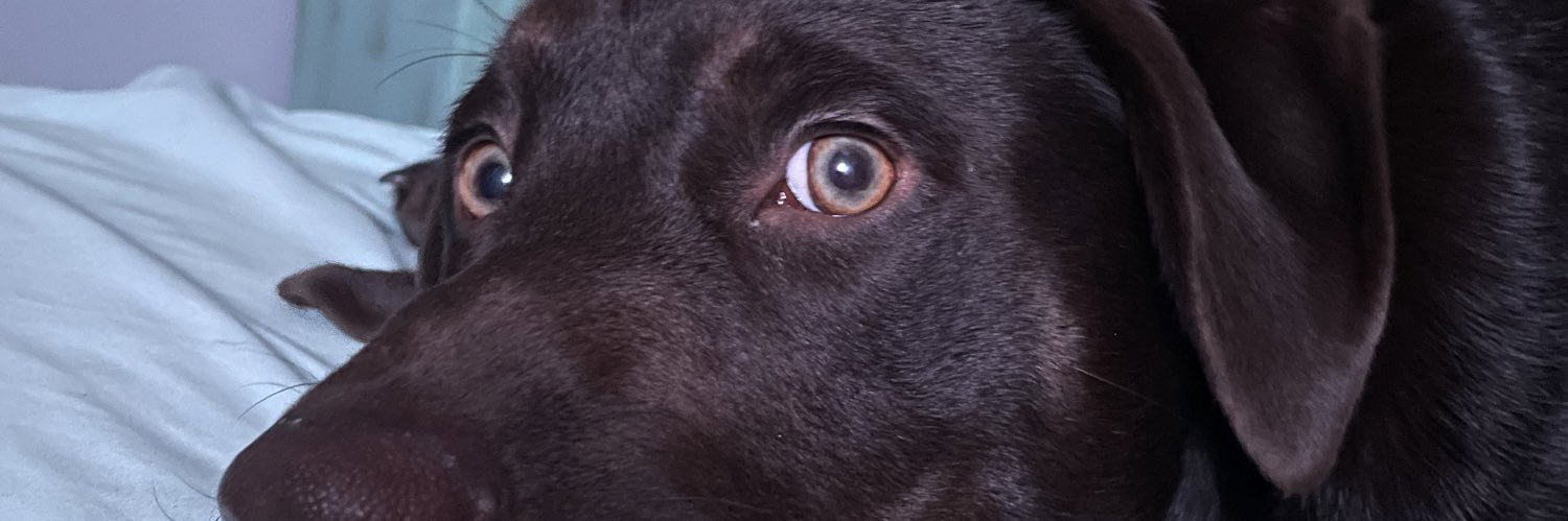 EmiWoodard's profile banner image