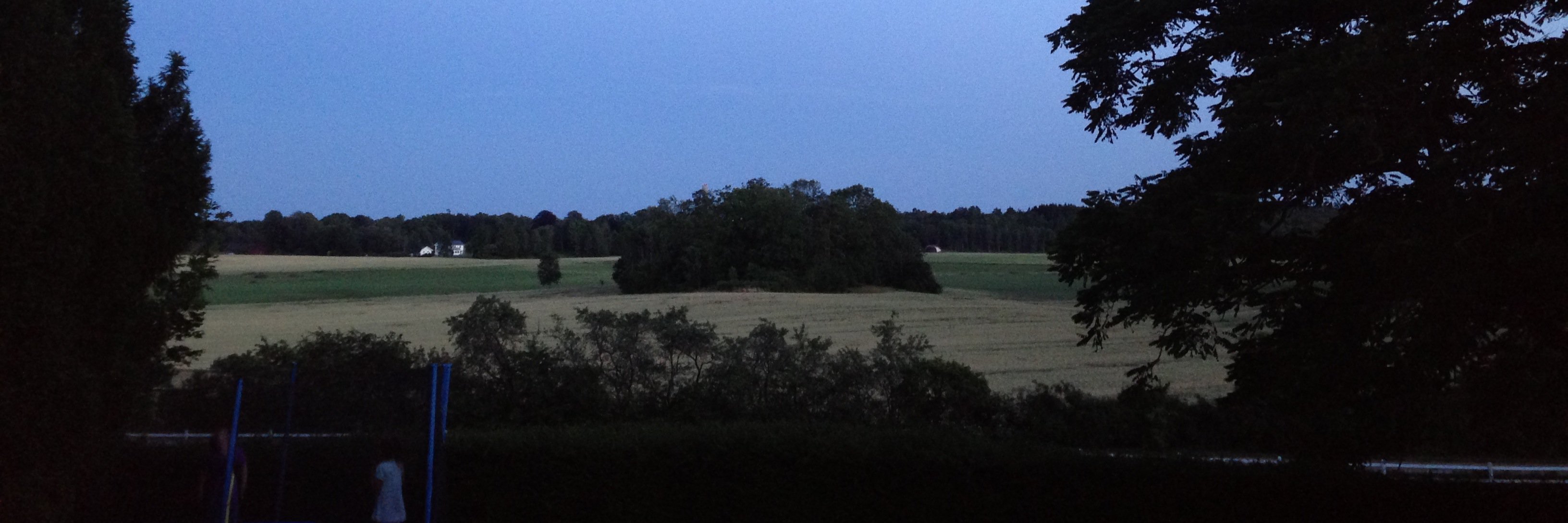 Karin Eriksson banner