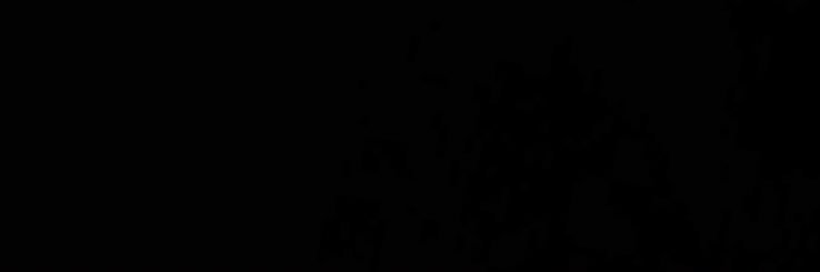 adeleM_davis's profile banner image