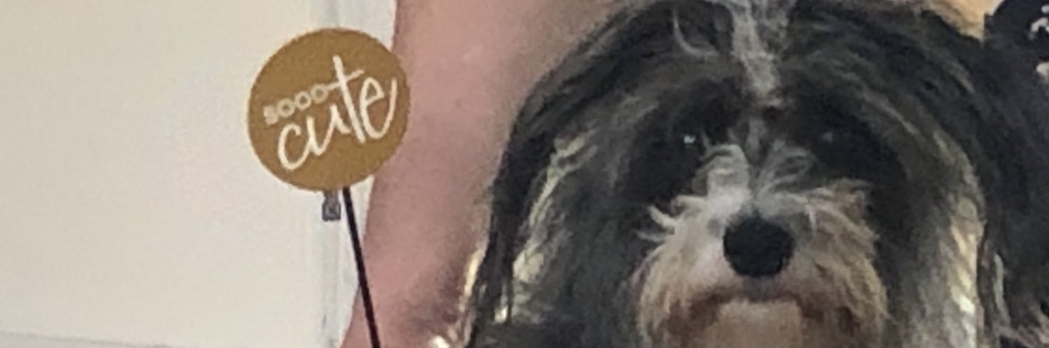 SiobhanKirk's profile banner image