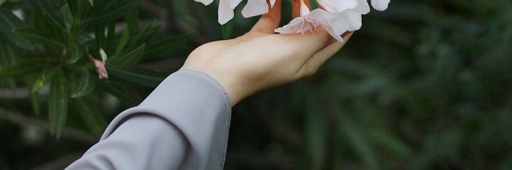 NAada1398's profile banner image